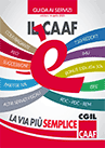 Guida ai servizi caaf 2021